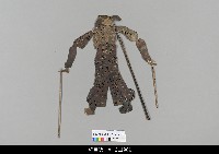 藏品(中國湖北皮影戲偶身)的圖片